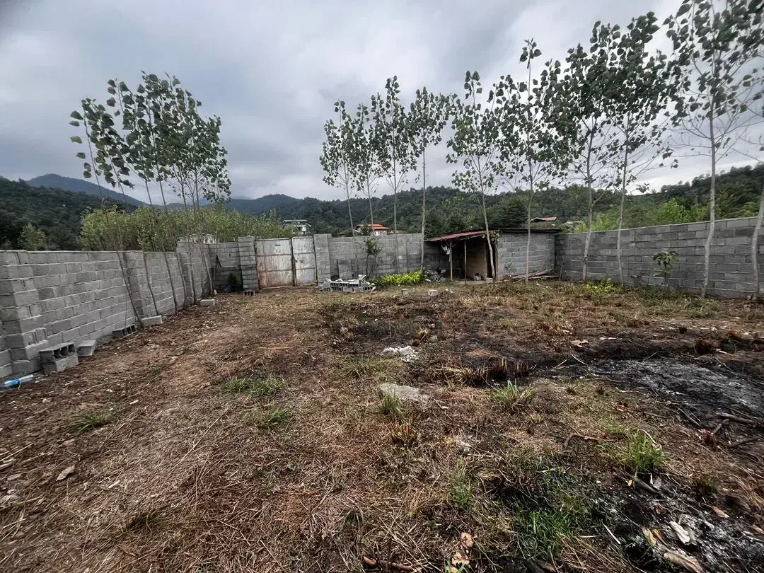 ۲۵۰ متر زمین در روستای سلاکجان(واجارگاه)|فروش زمین و ملک کلنگی|واجارگاه, |دیوار