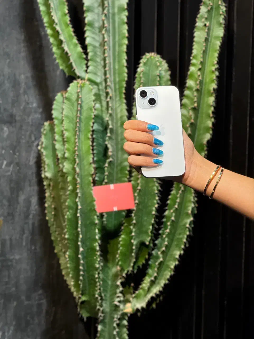 اپل ۱۵نرمال اکبند و کارکرده فقط باچک تحویل آنواحد|موبایل|تهران, گیشا|دیوار