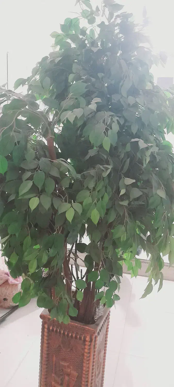 گلدان مصنوعی|گل مصنوعی|زاهدان, |دیوار