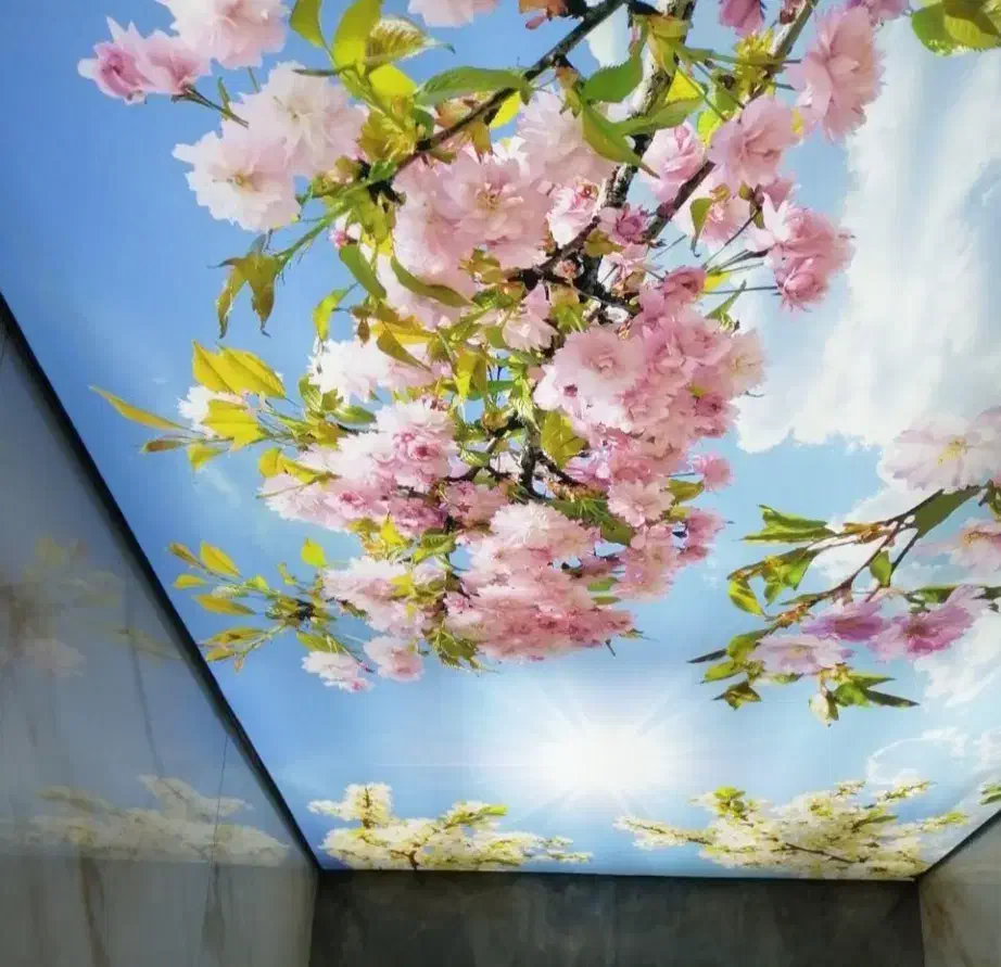 اجرای تایل و کمپارس|خدمات پیشه و مهارت|گرگان, |دیوار