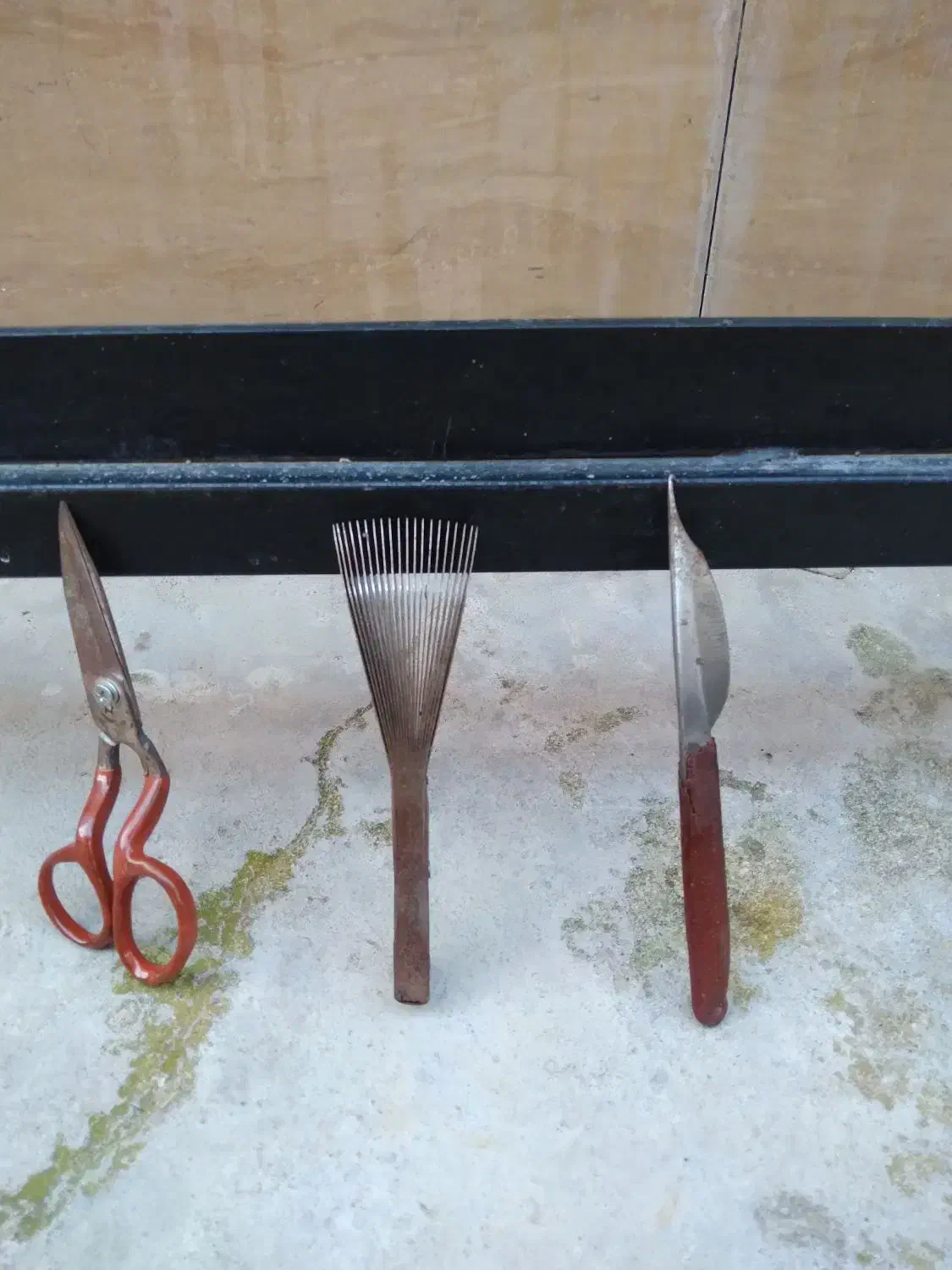 دار قالی با وسیله|لوازم خیاطی و بافتنی|آستانه اشرفیه, |دیوار