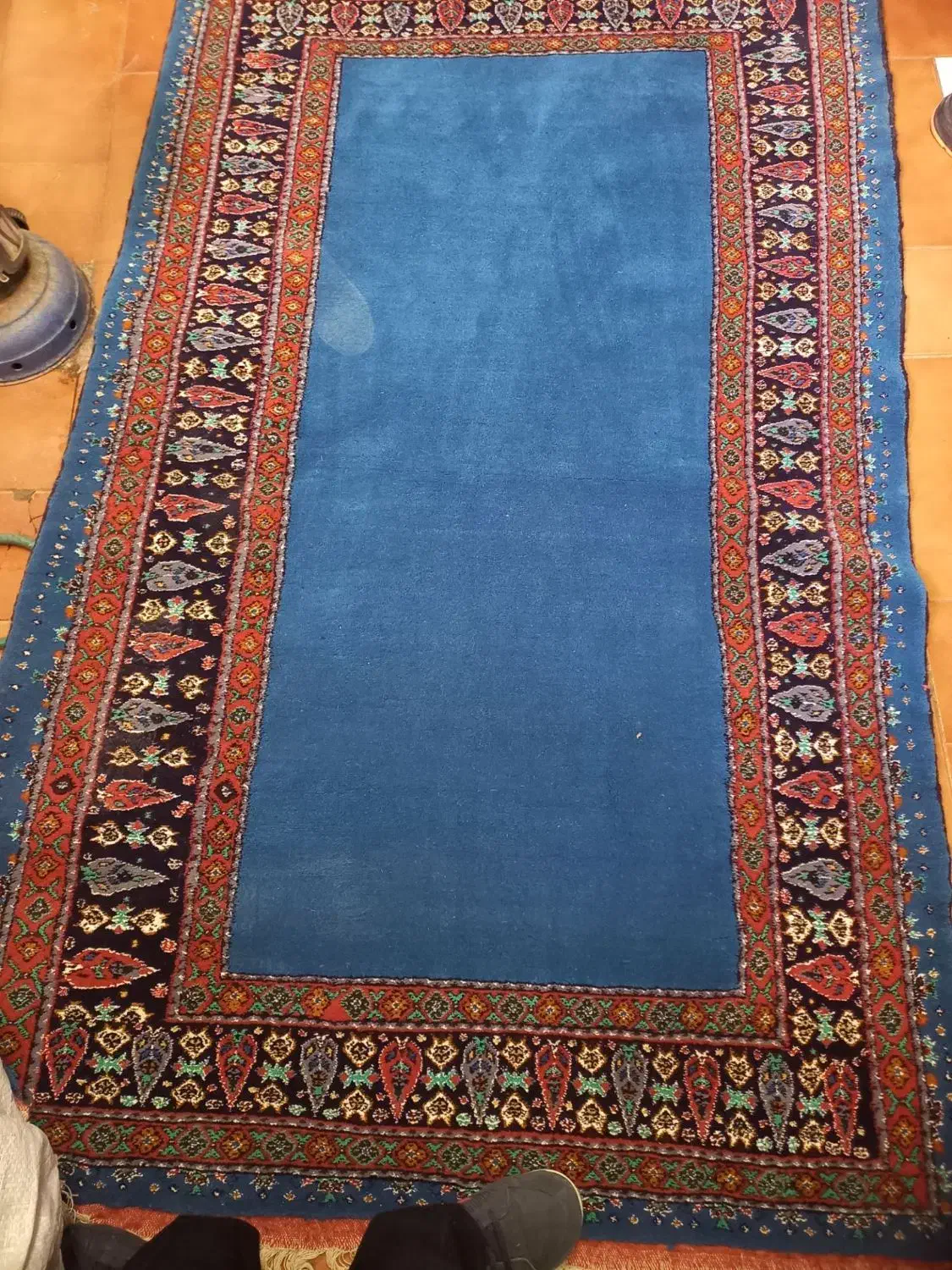 قالی|فرش|بجنورد, |دیوار