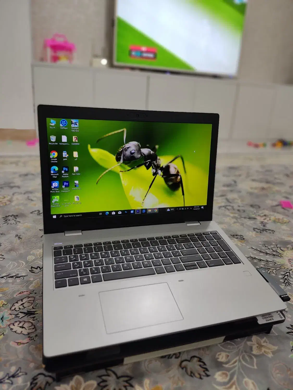 لب تاب HP 650 G5|رایانه همراه|تالش, هشتپر|دیوار