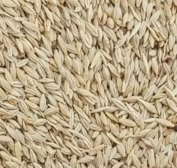 جو خارجی یه دست و تمیز|لوازم جانبی حیوانات|فشاپویه, |دیوار