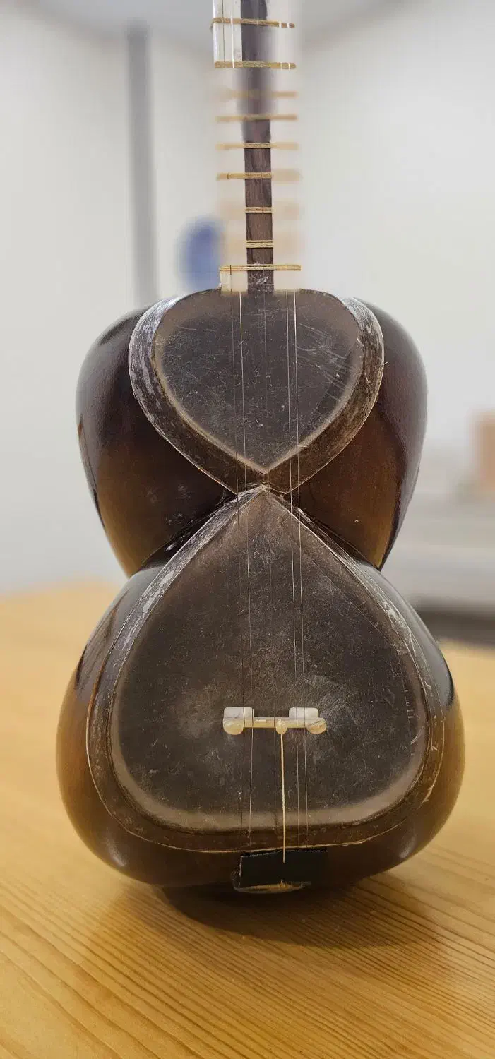 تار شیراز دو مهر ایران ساز|سازهای سنتی|تهران, فلسطین (میدان انقلاب)|دیوار