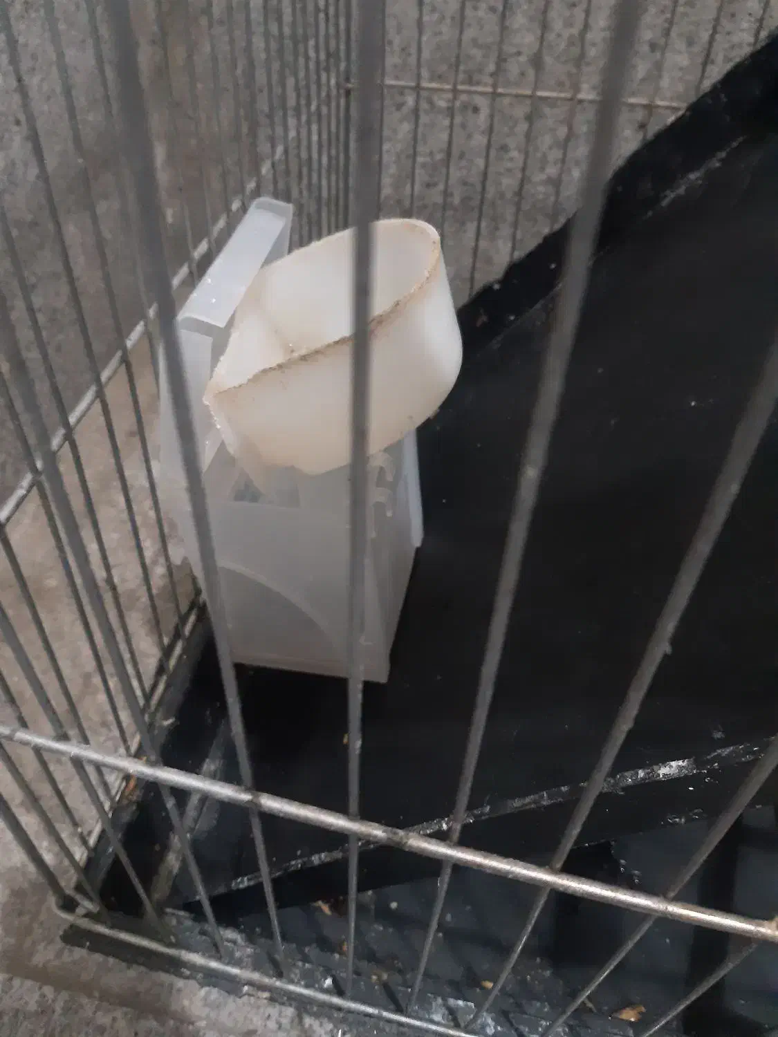 قفس پرنده|لوازم جانبی حیوانات|تهران, کیانشهر|دیوار