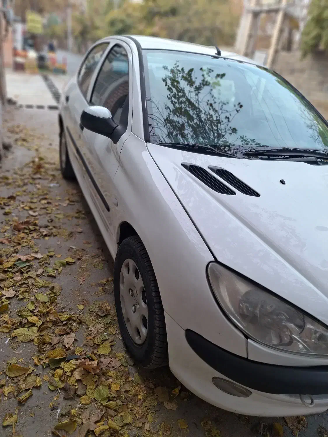 ۲۰۶ مدل۹۳ تیپ۵،بکروخانگی|خودرو سواری و وانت|کرج, چمن|دیوار