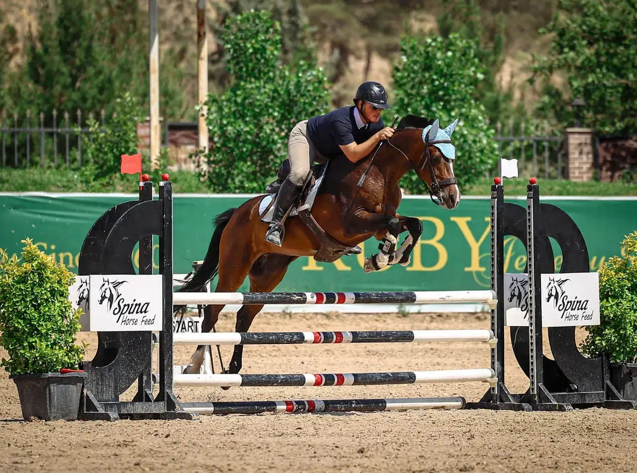 دوسر خارجی|اسب و تجهیزات اسب‌سواری|کوهسار (البرز), |دیوار