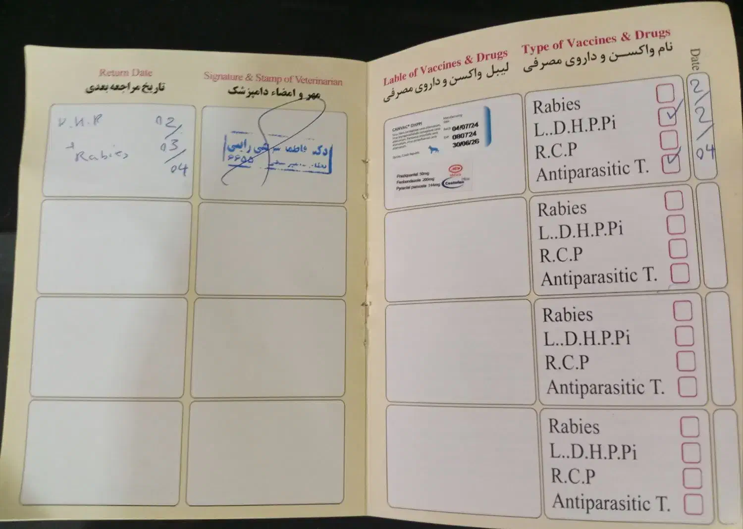 سگ پامر اشپیتز|سگ|جیرفت, |دیوار