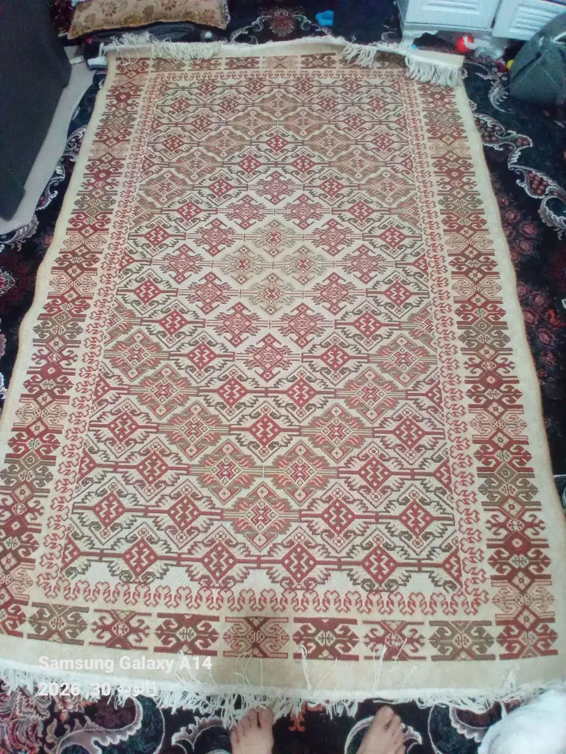 گلیم|گلیم، جاجیم، گبه|قوچان, |دیوار