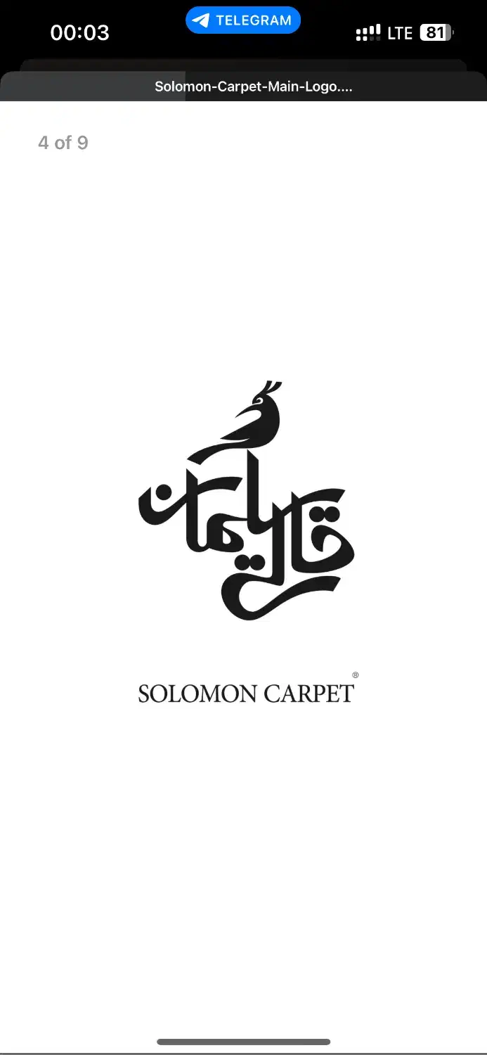 استخدام نیرو قالی سلیمان|استخدام بازاریابی و فروش|بیرجند, |دیوار