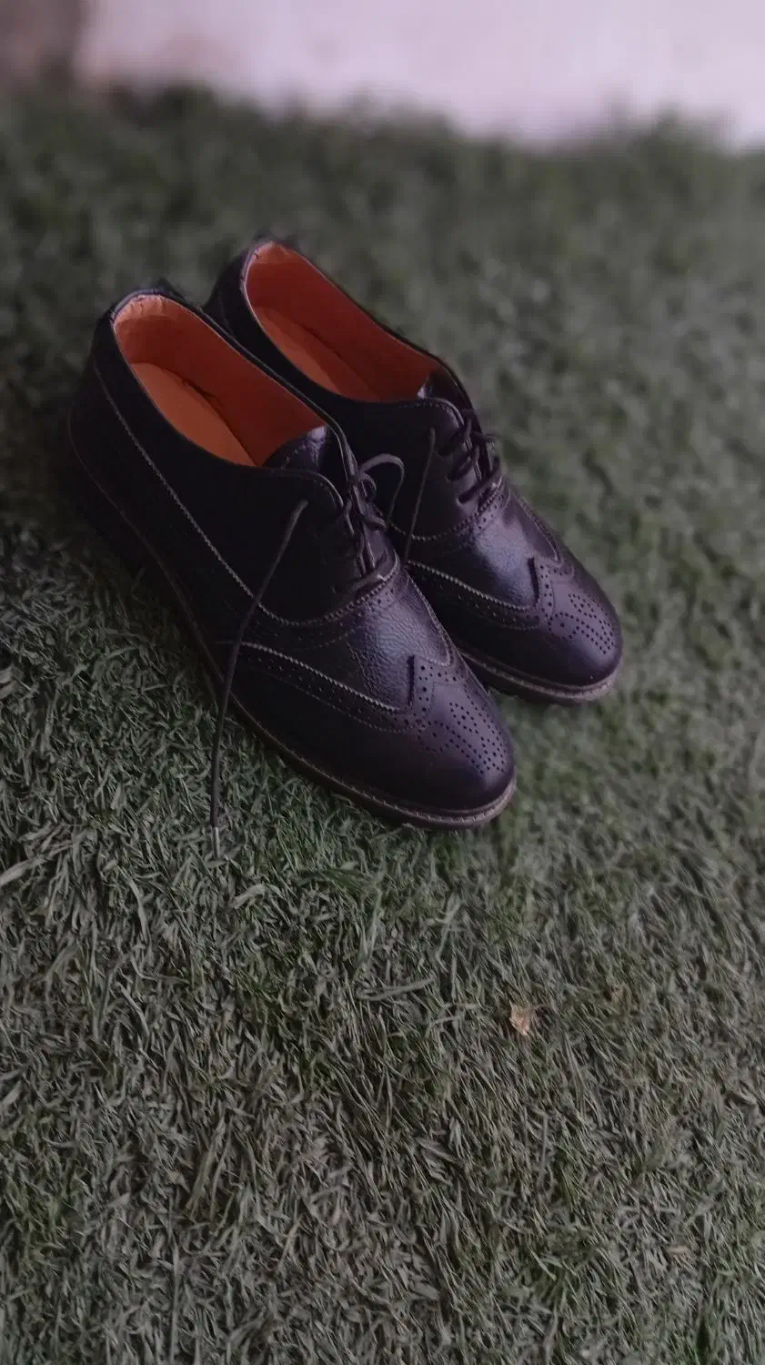 کفش مجلسی مردانه|کیف، کفش، کمربند|آبپخش, |دیوار