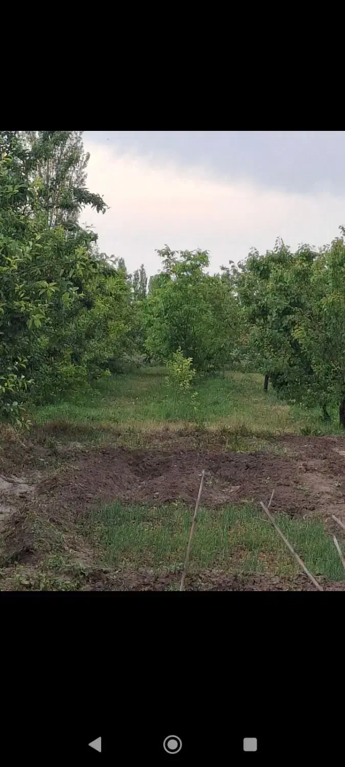 باغ برجاده|فروش دفتر صنعتی، کشاورزی، تجاری|خوی, |دیوار