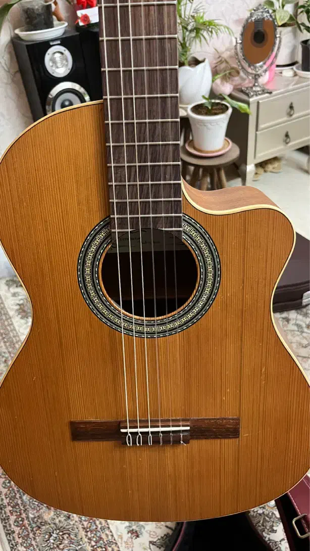 گیتار کویینکا کاتوی|گیتار، بیس، امپلیفایر|قم, زنبیل آباد|دیوار