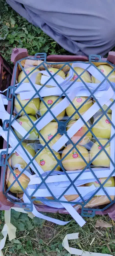 نیروی نگهبانی جهت کار در سردخانه|استخدام سرایداری و نظافت|سیلوانه, |دیوار