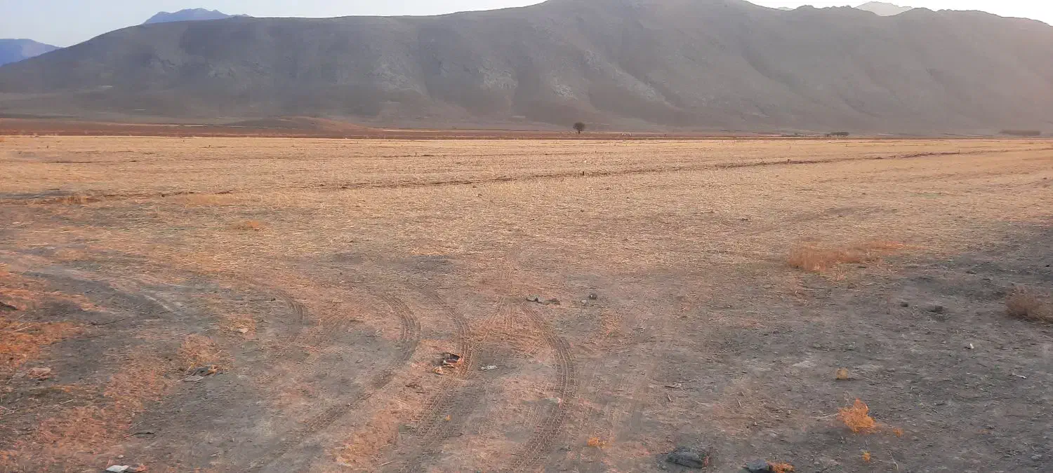 اجاره ملک کشاورزی ۴۰ هکتاری با چاه آب|اجارهٔ دفتر صنعتی، کشاورزی، تجاری|کیار, |دیوار