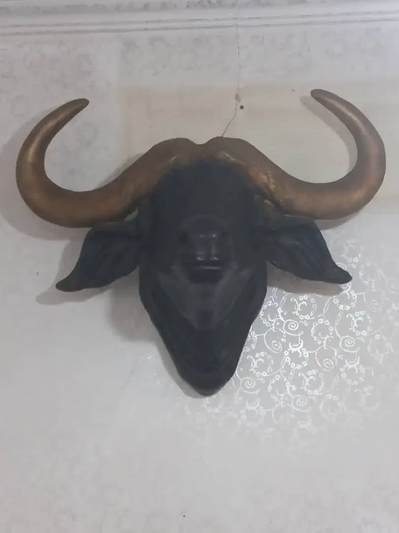 کله گاو زیبا برای نمای اتاق مغازه|مجسمه، تندیس، ماکت|پارس‌آباد, |دیوار