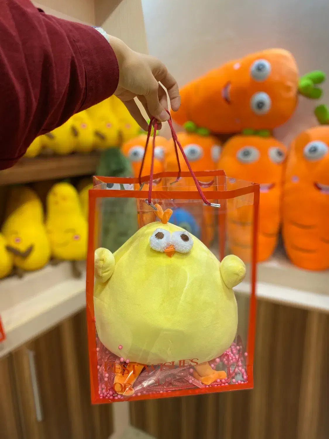 پک کادوئی|اسباببازی|قم, شاه احمد قاسم|دیوار