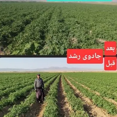 مشاوره حضوری و غیر حضوری کود های اورگانیک|خدمات باغبانی و درختکاری|اهواز, امانیه|دیوار