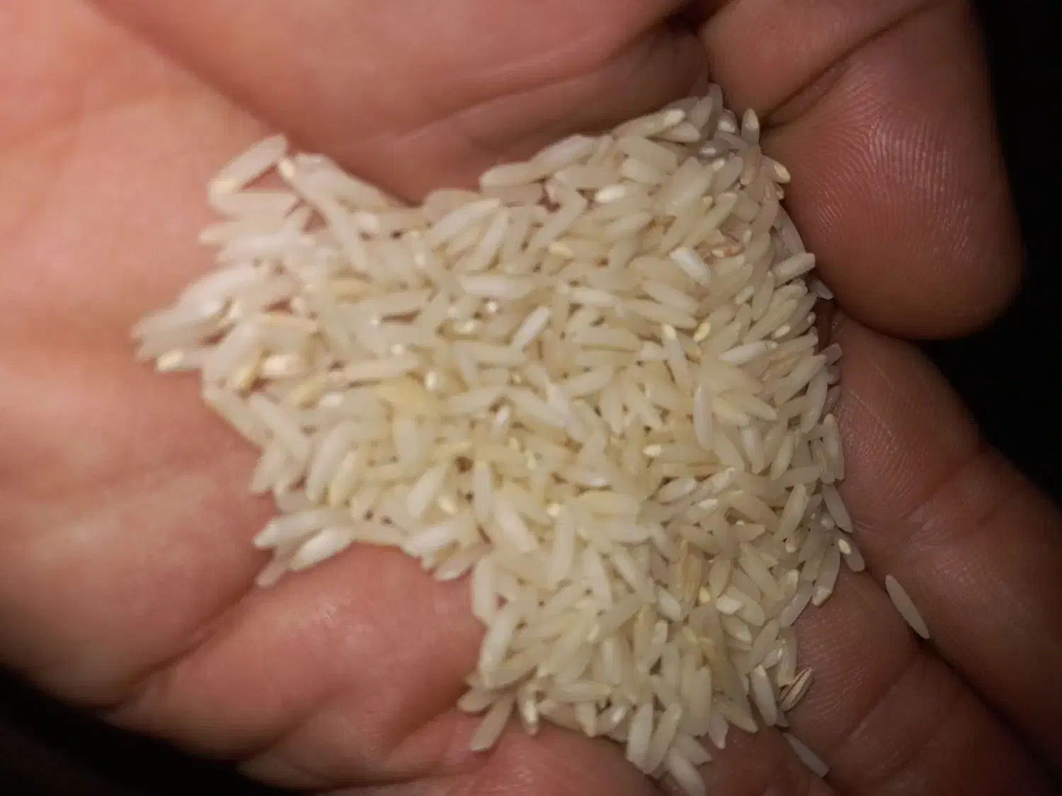 برنج هاشمی|خوردنی و آشامیدنی|سنگر, |دیوار