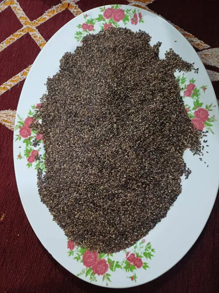 فروش کنجد عمده و خرده|خوردنی و آشامیدنی|شوش, |دیوار