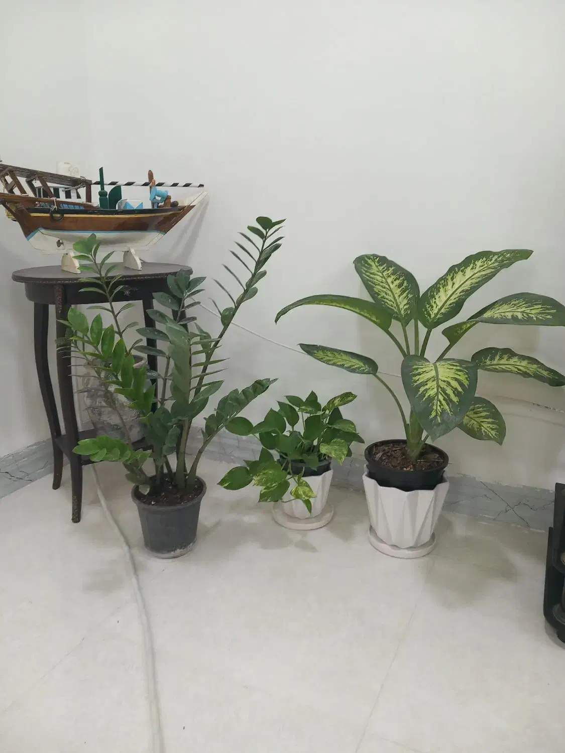 پاکن‌|لوازم التحریر|بندر کنگان, |دیوار