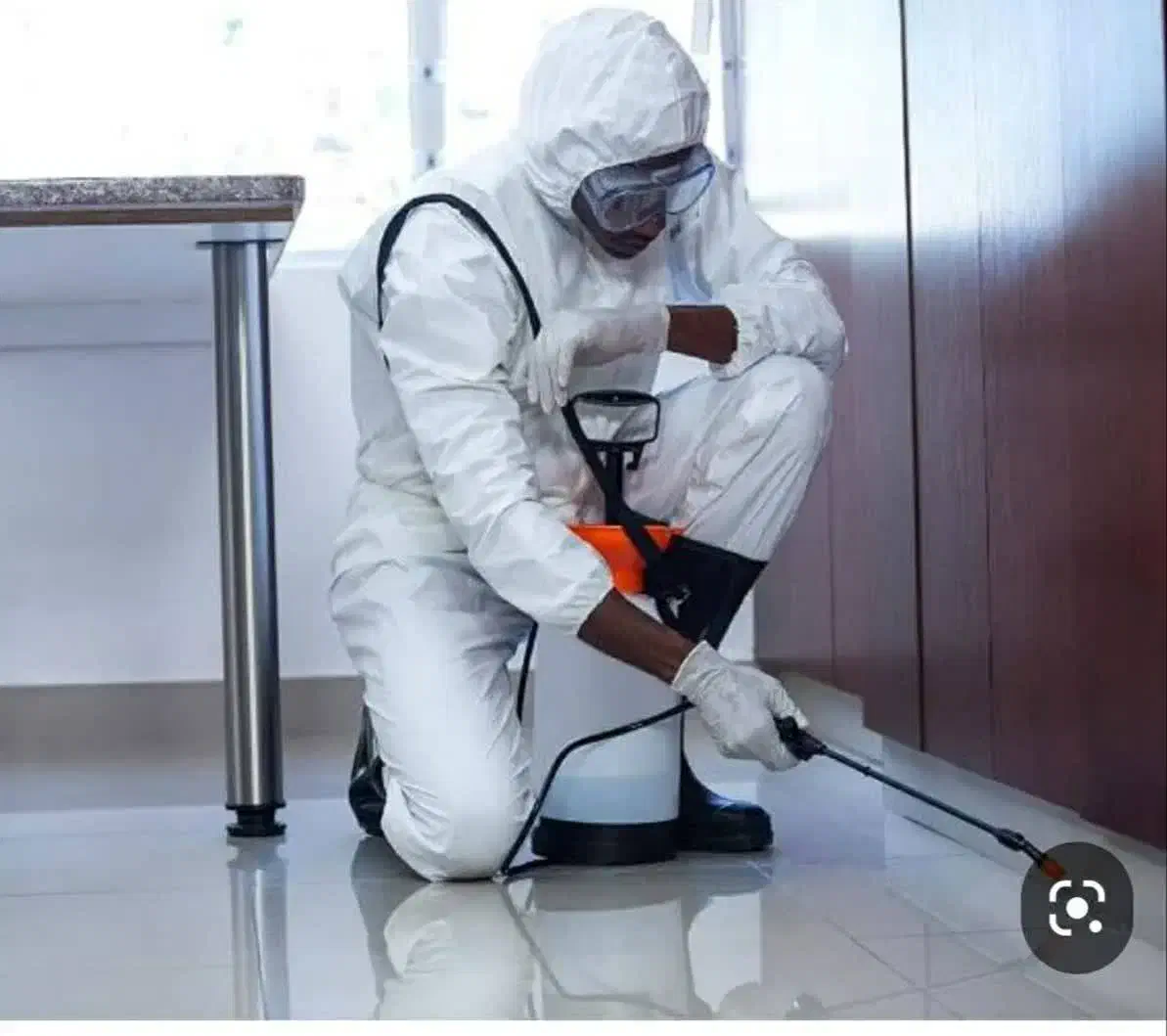 سم پاشی تخصصی و تضمینی موریانه ساس سوسک سمپاشی|خدمات نظافت|شاهین‌شهر, فردوسی|دیوار