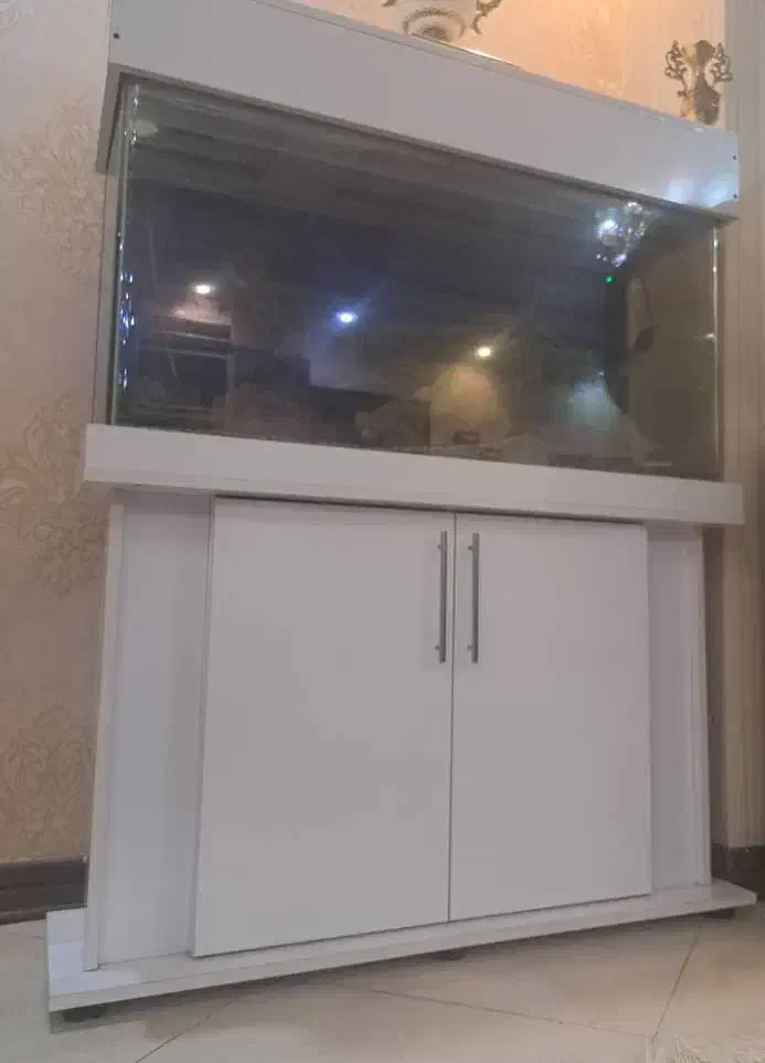 آکواریوم کمدی|ماهی|اسلام‌شهر, شهرک سعیدیه|دیوار