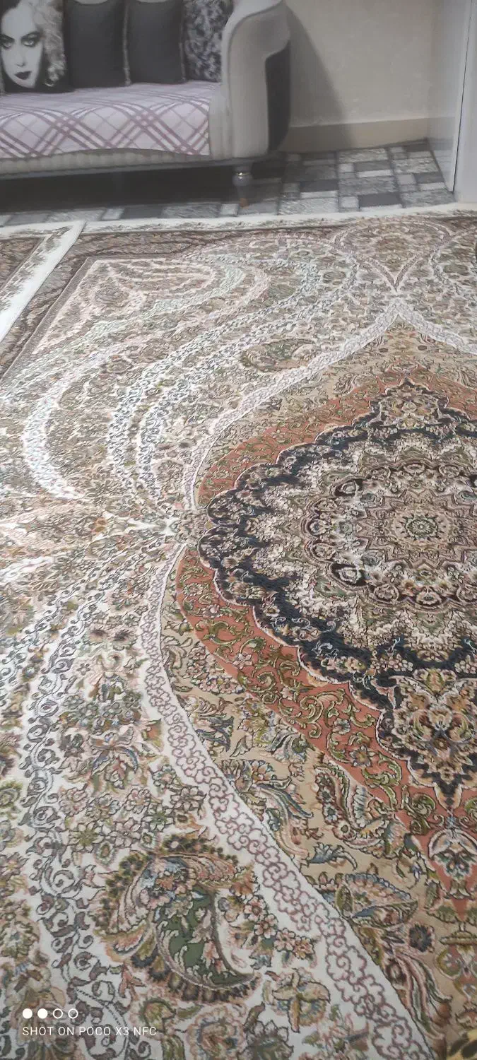 فرش|فرش|تربت‌حیدریه, شهرک ولیعصر|دیوار