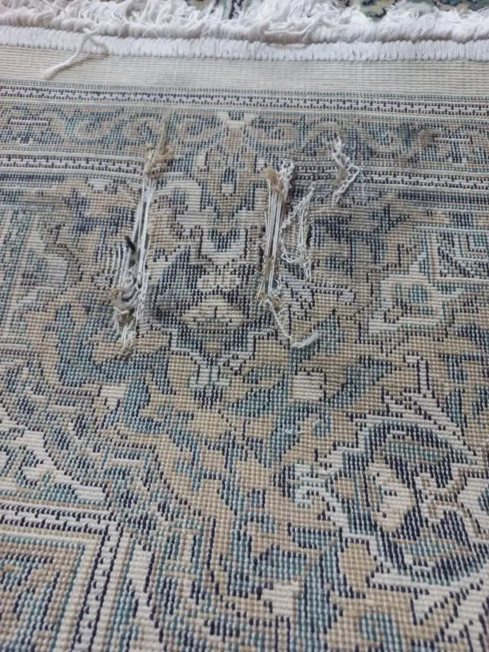 فرش شش متری با کمی پوسیدگی که در عکس مشخصه|فرش|پاکدشت, پاکدشت (مامازند)|دیوار