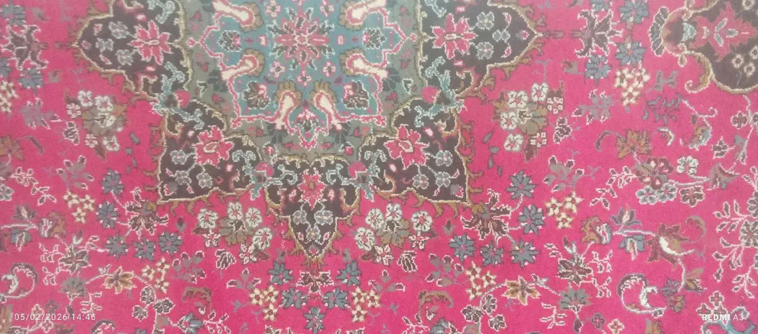 فرش 6متر سالم نو|فرش|زاهدان, |دیوار