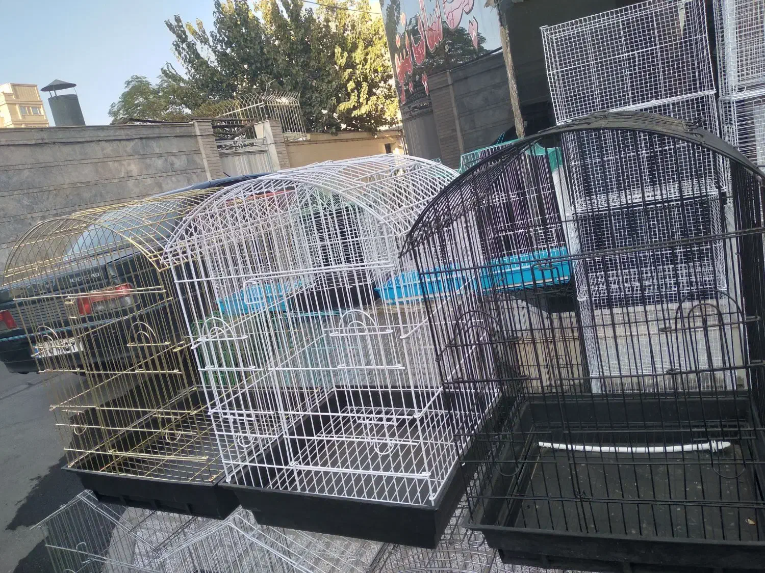 کلکسیون قفس های پرنده|لوازم جانبی حیوانات|تربت‌حیدریه, شهید قرنی|دیوار