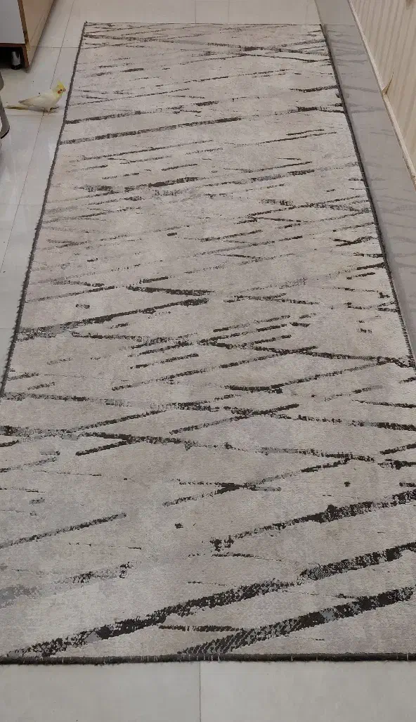 قالیچه راهرو|فرش|مشهد, کارگران|دیوار