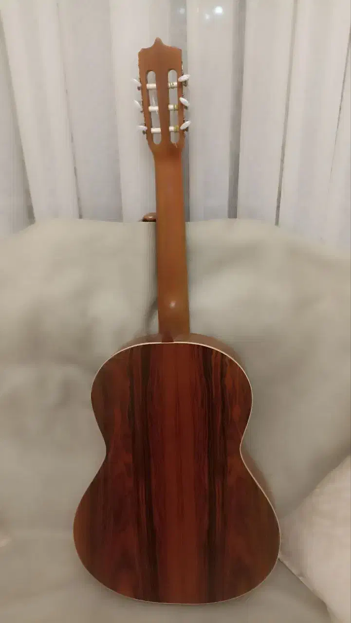 گیتار Parsi P80|گیتار، بیس، امپلیفایر|محمدشهر, همایون ویلا|دیوار