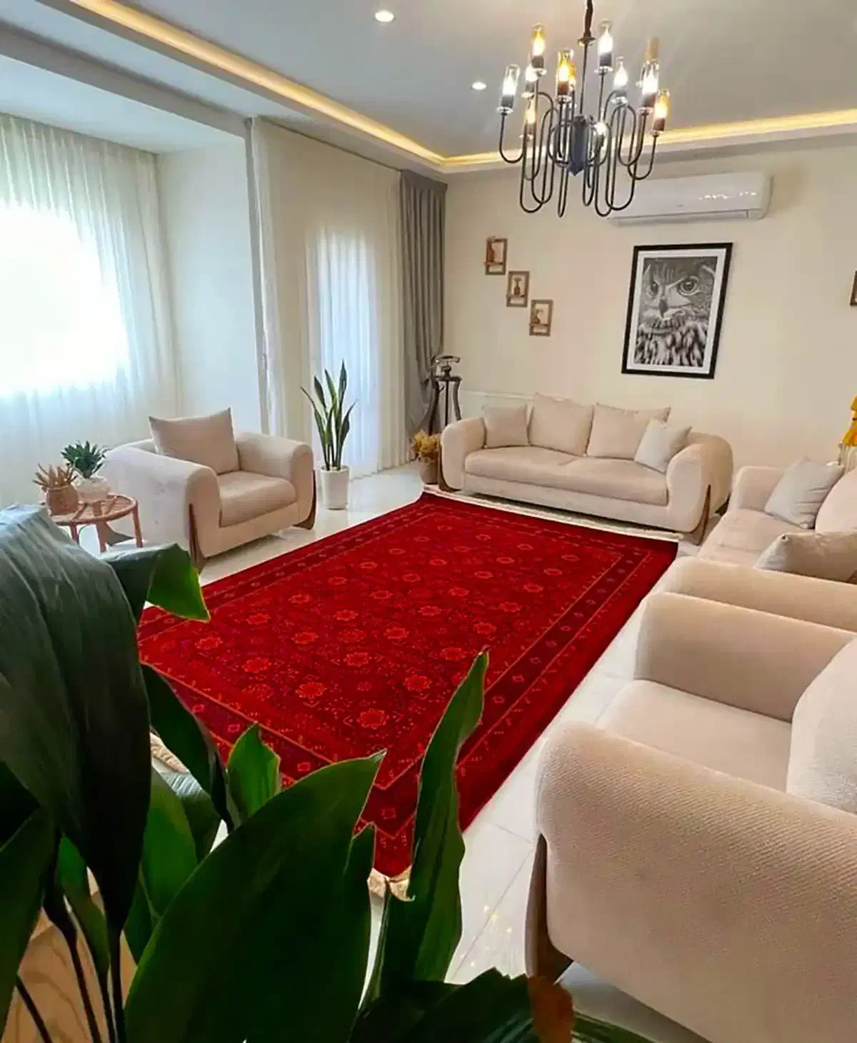 فرش تخفیفی بوکان مال|فرش|بوکان, |دیوار