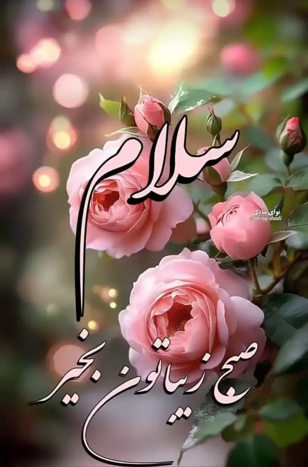 خط تلفن ثابت|تلفن رومیزی|یزد, |دیوار