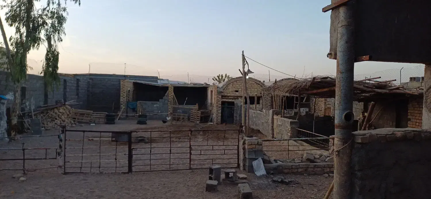 فروش دامداری|فروش خانه و ویلا|کویرات, |دیوار