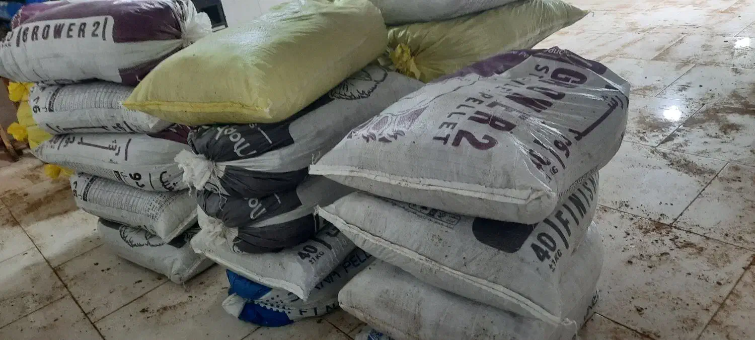 ۲۵ کیسه کود مرغی ارگانیک بدون آهک بدون|خدمات باغبانی و درختکاری|هادی شهر, |دیوار