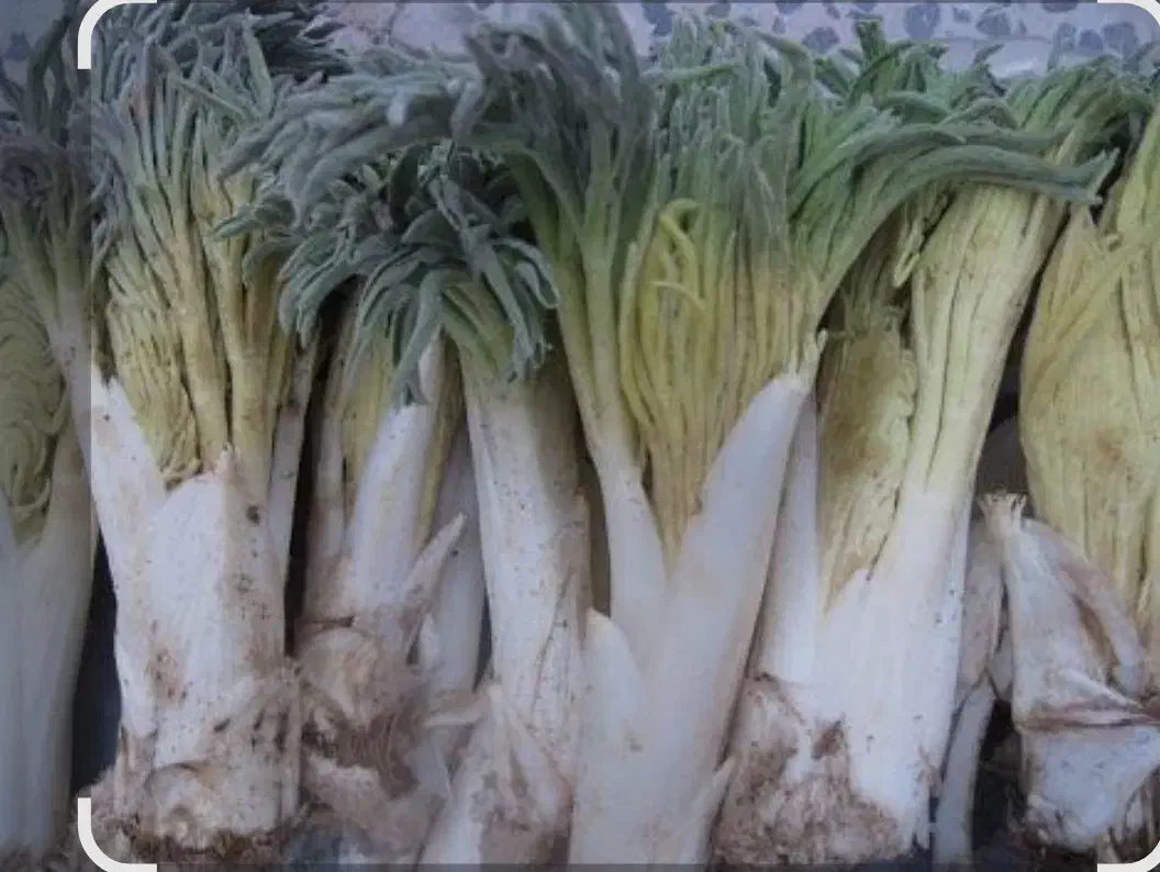 کما|خوردنی و آشامیدنی|زیرکوه, |دیوار