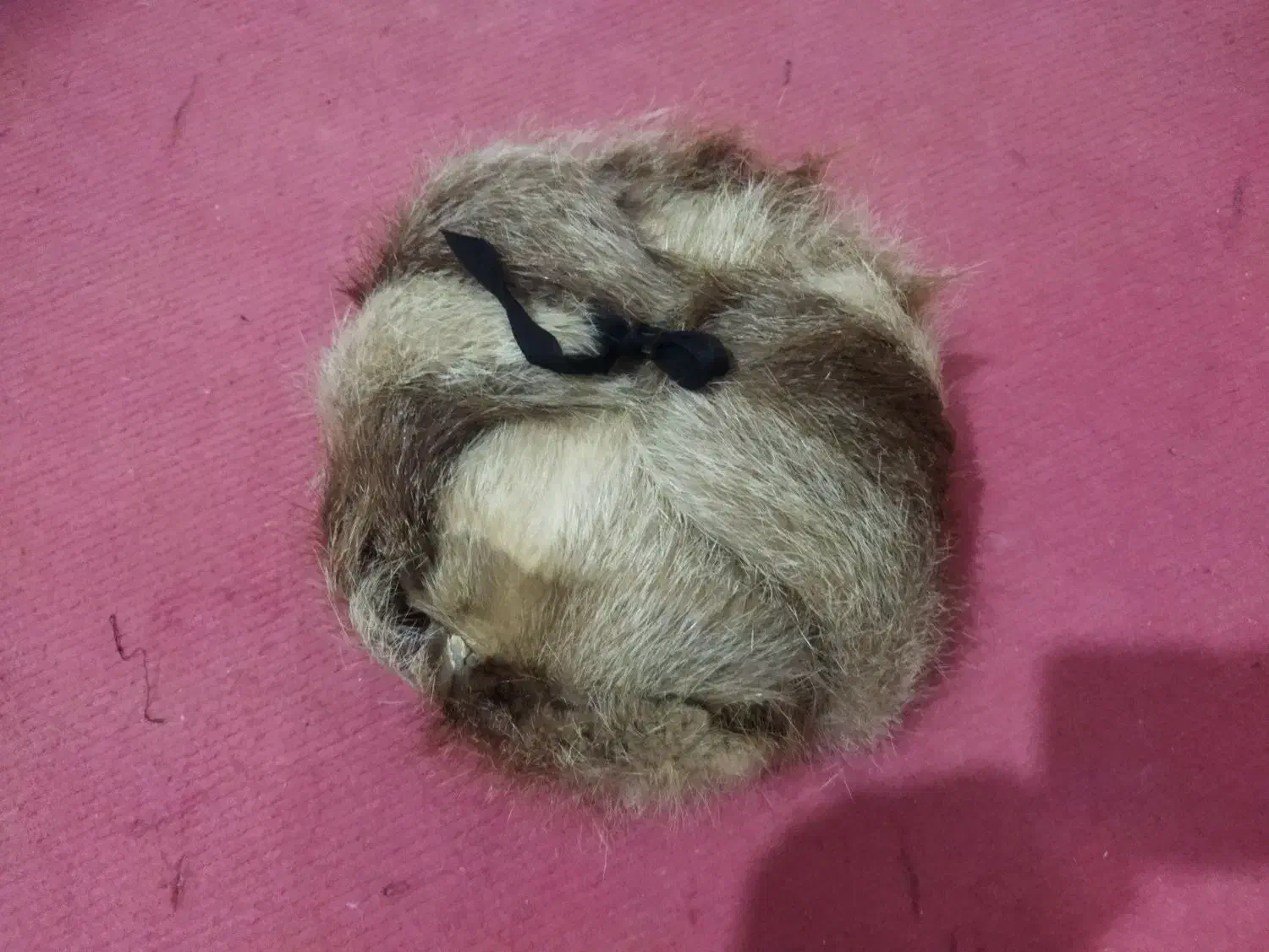 کلاه گرم|لباس|زابل, |دیوار