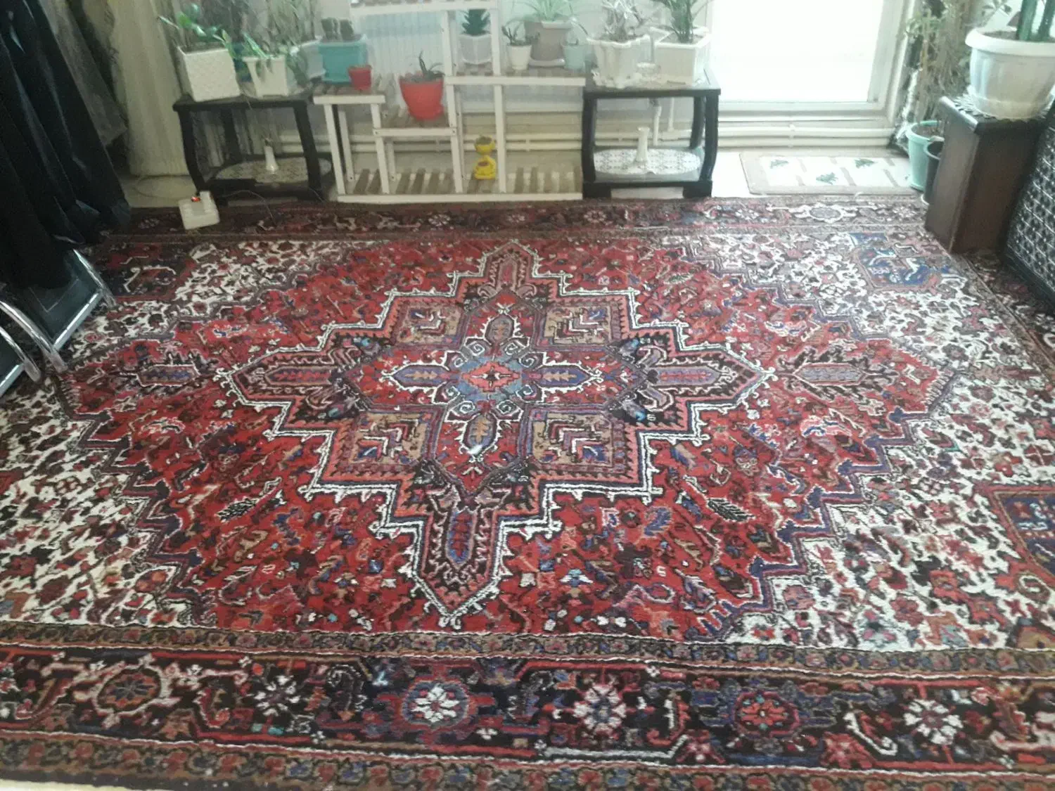 فرش نه متری|فرش|تبریز, |دیوار