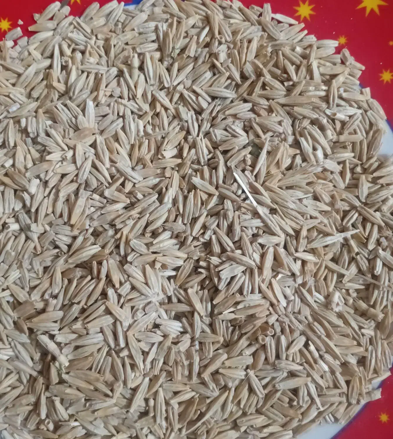 جو فروشی|عمدهفروشی|پیشخور, |دیوار