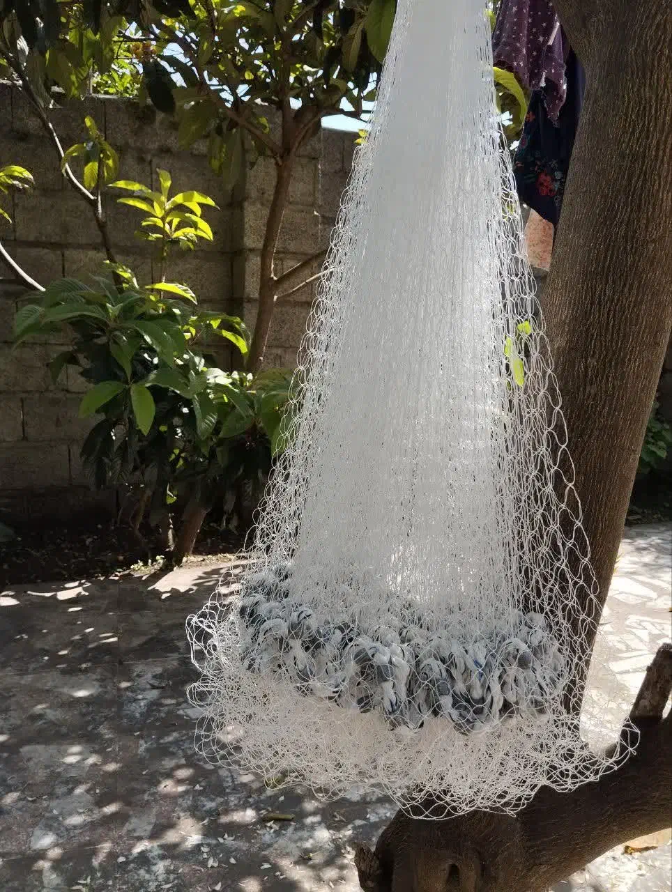 تور ماهیگیری|ماهیگیری|رشت, فلسطین|دیوار