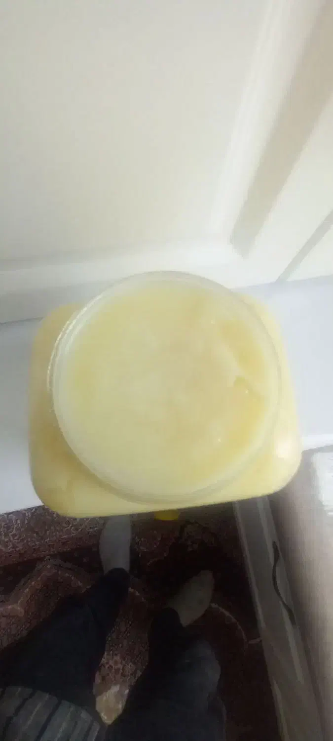 روغن زرد گوسفندی خالص|خوردنی و آشامیدنی|اردبیل, |دیوار