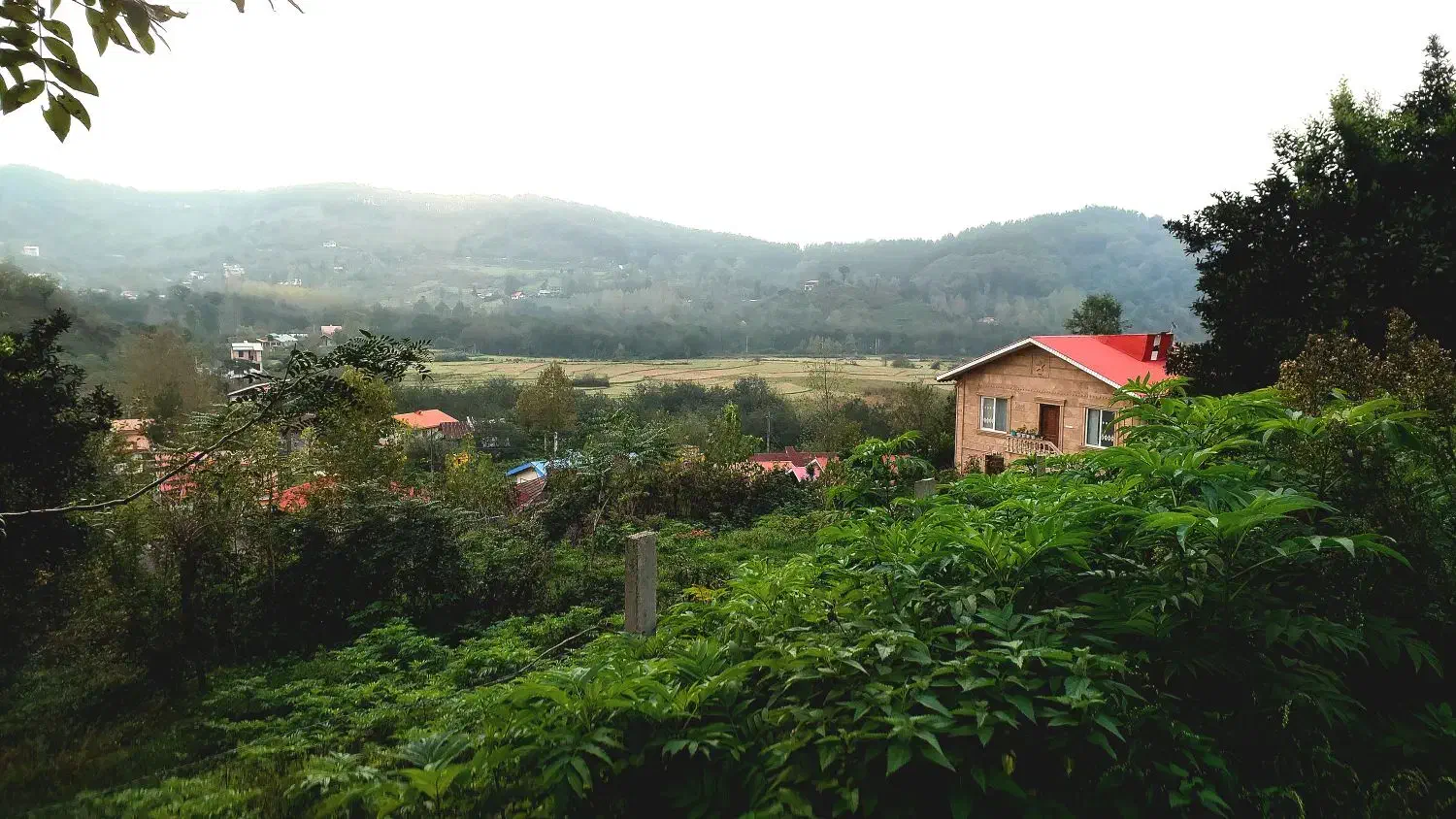 زمین مسکونی باغی ششصد متری توشی ویو ابدی|فروش زمین و ملک کلنگی|سیاهکل, |دیوار