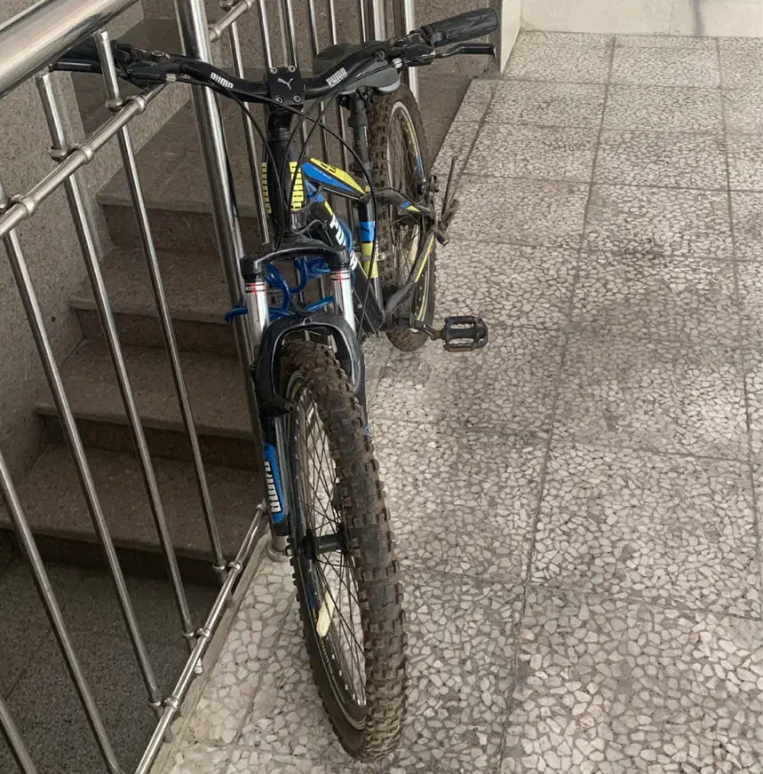 دوچرخه ۲۴|دوچرخه، اسکیت، اسکوتر|کرج, شهرک بنفشه|دیوار