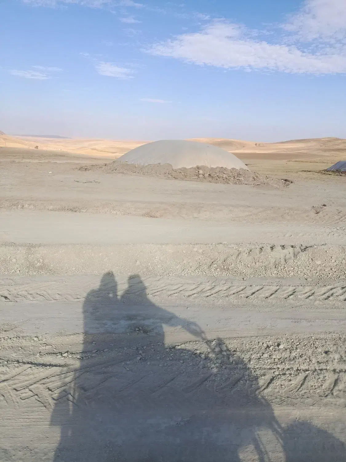 کاه نرم دیم|خدمات باغبانی و درختکاری|دهگلان, |دیوار