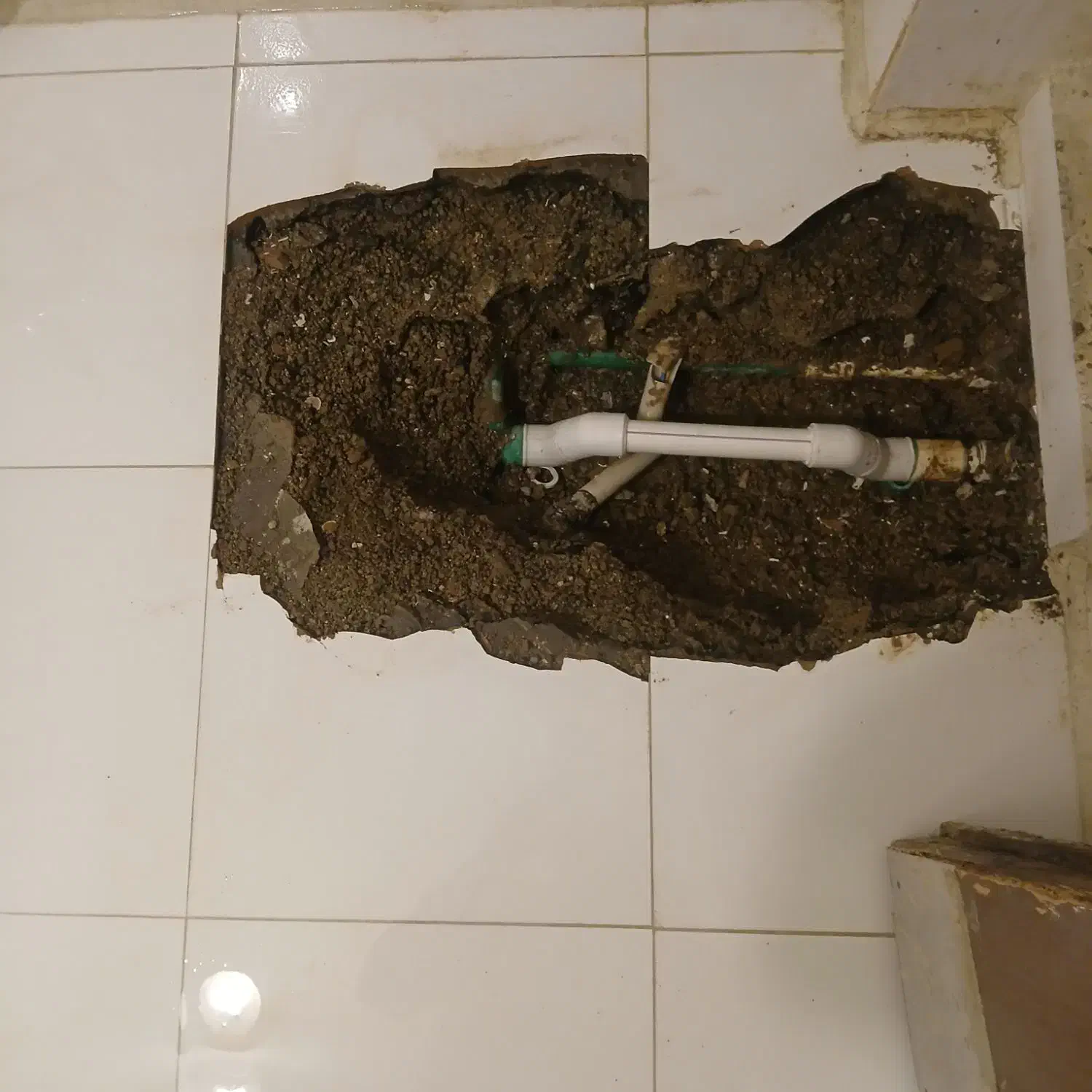 تاسیسات تشخیص ترکیدگی لوله رفع نم بادستگاه تصویری|خدمات پیشه و مهارت|تهران, نیروی هوایی (پیروزی)|دیوار