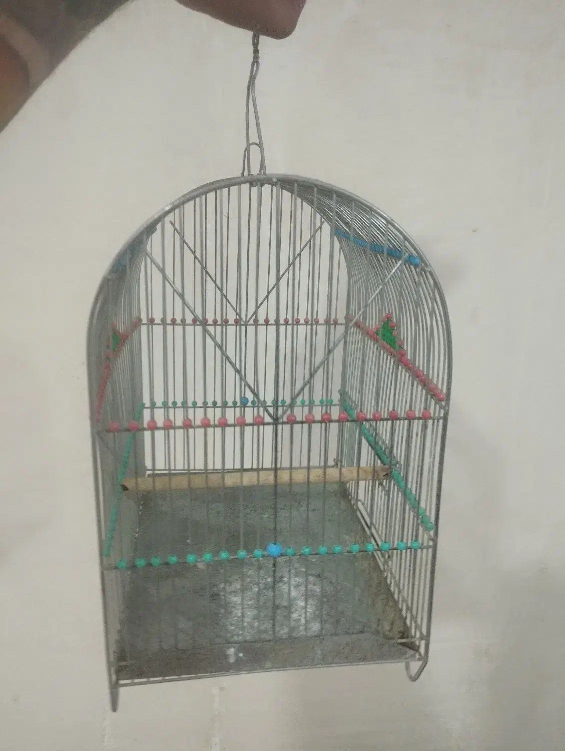 قفس|پرنده|اردبیل, |دیوار