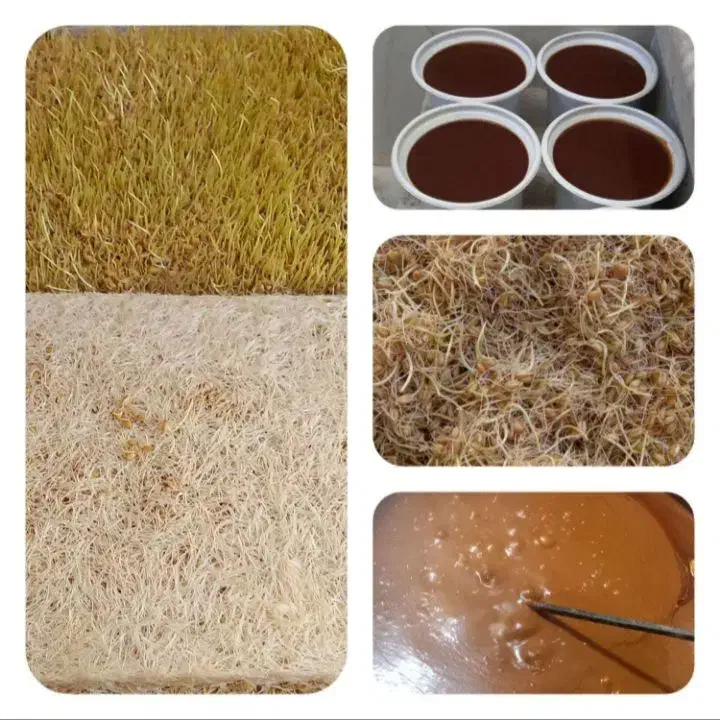 سمنوخانگی|خوردنی و آشامیدنی|شاهین‌شهر, گرگاب|دیوار